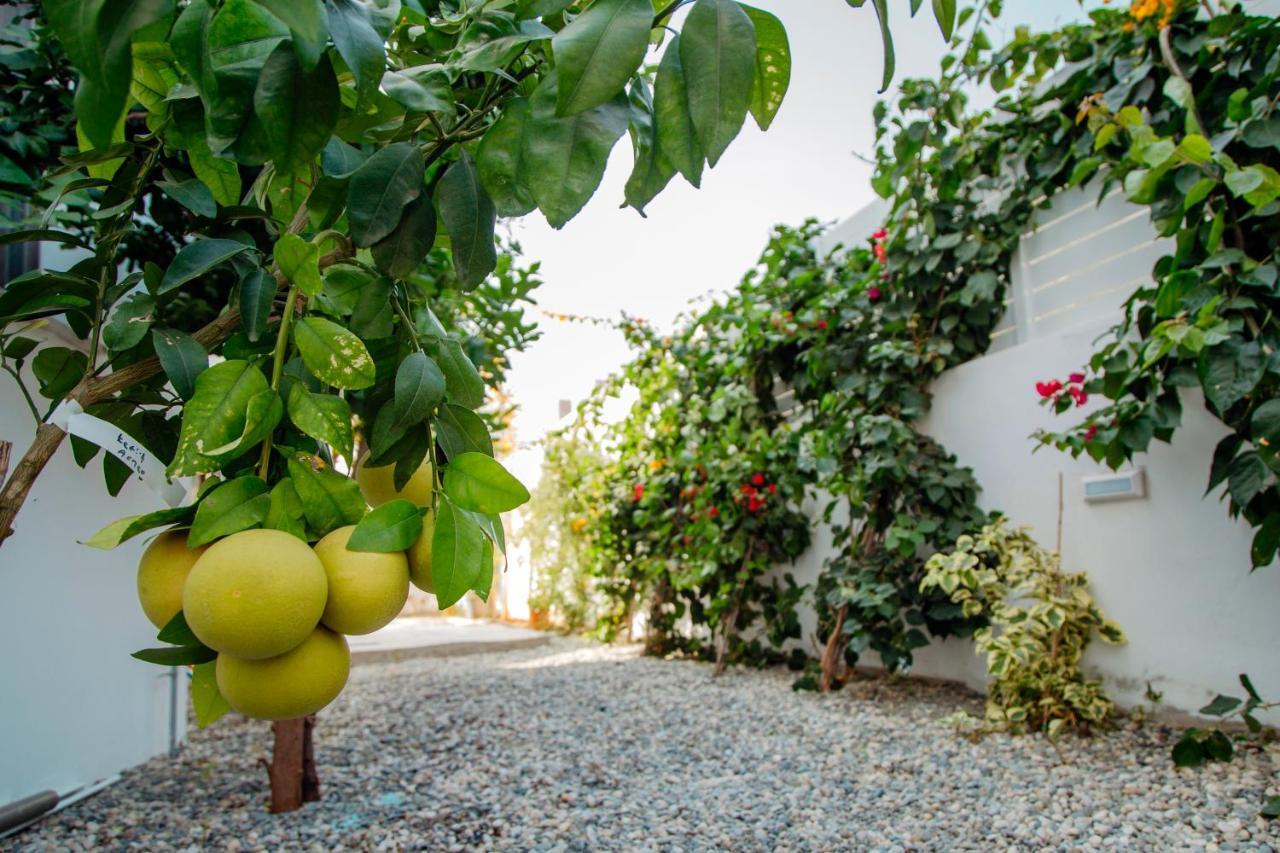 Island Home Seaside Villa Paralimni Luaran gambar